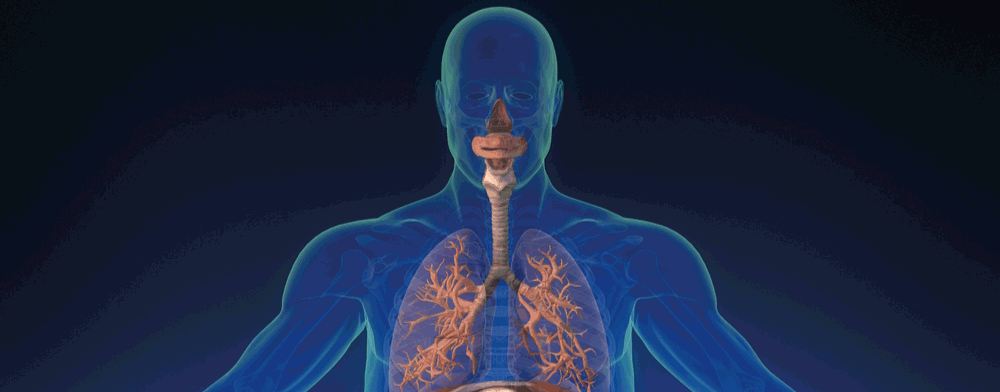 Terapia respiratoria contra el asma